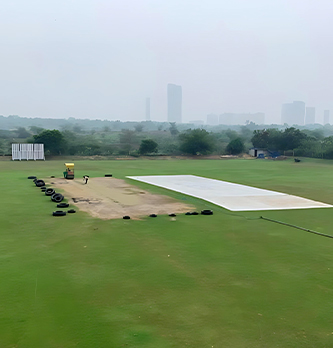 Cricket